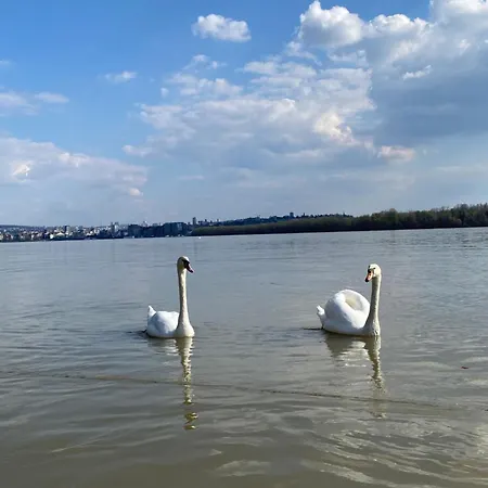 Dunavska Lepotica 2 *