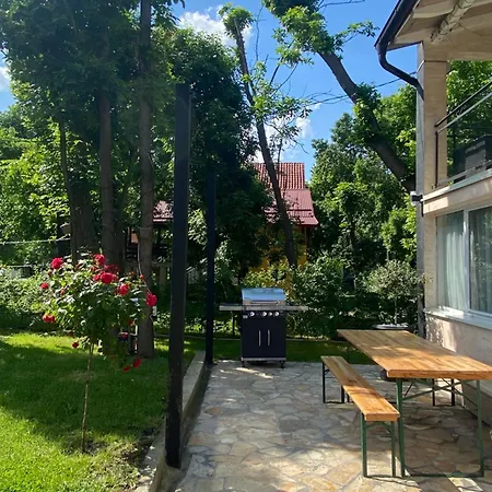 Dunavska Lepotica 2 *